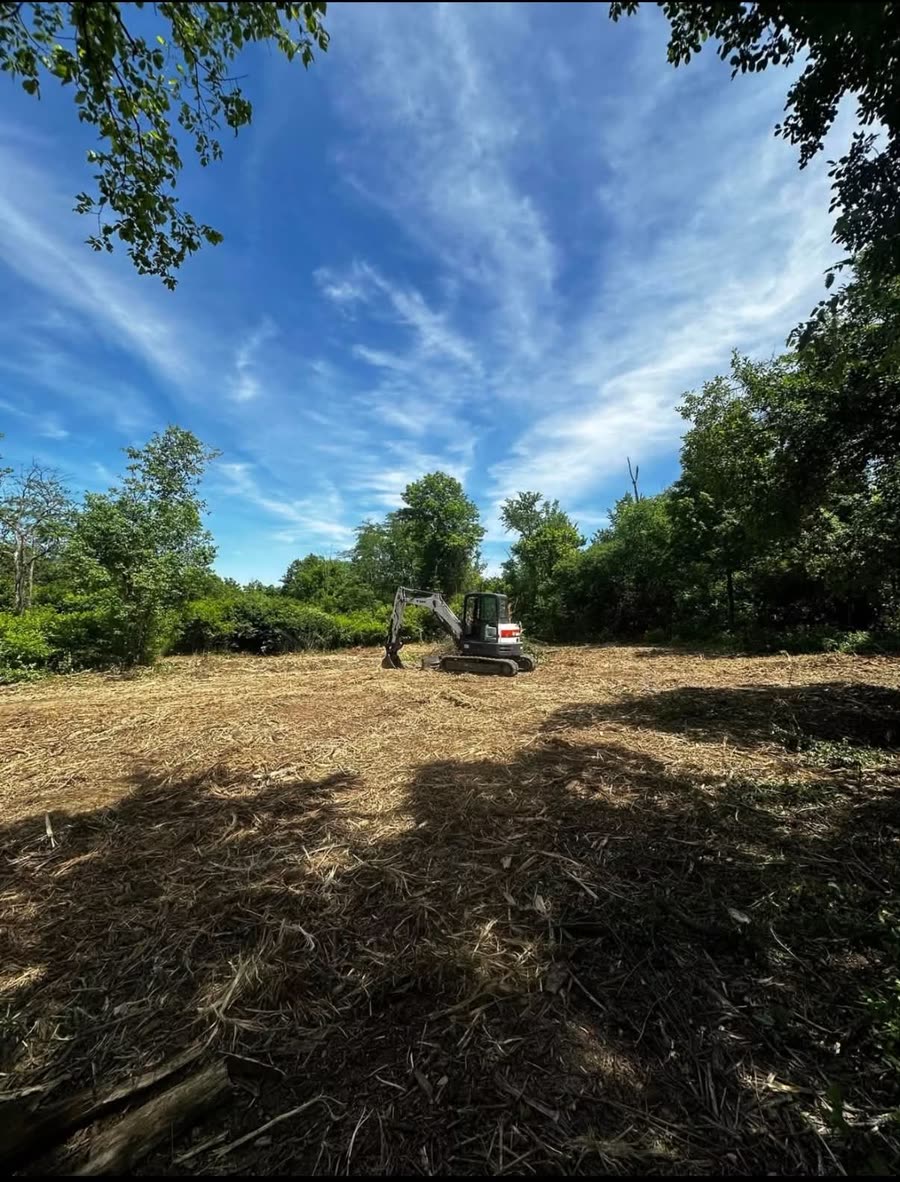 A wooded lot cleared and mulched flat