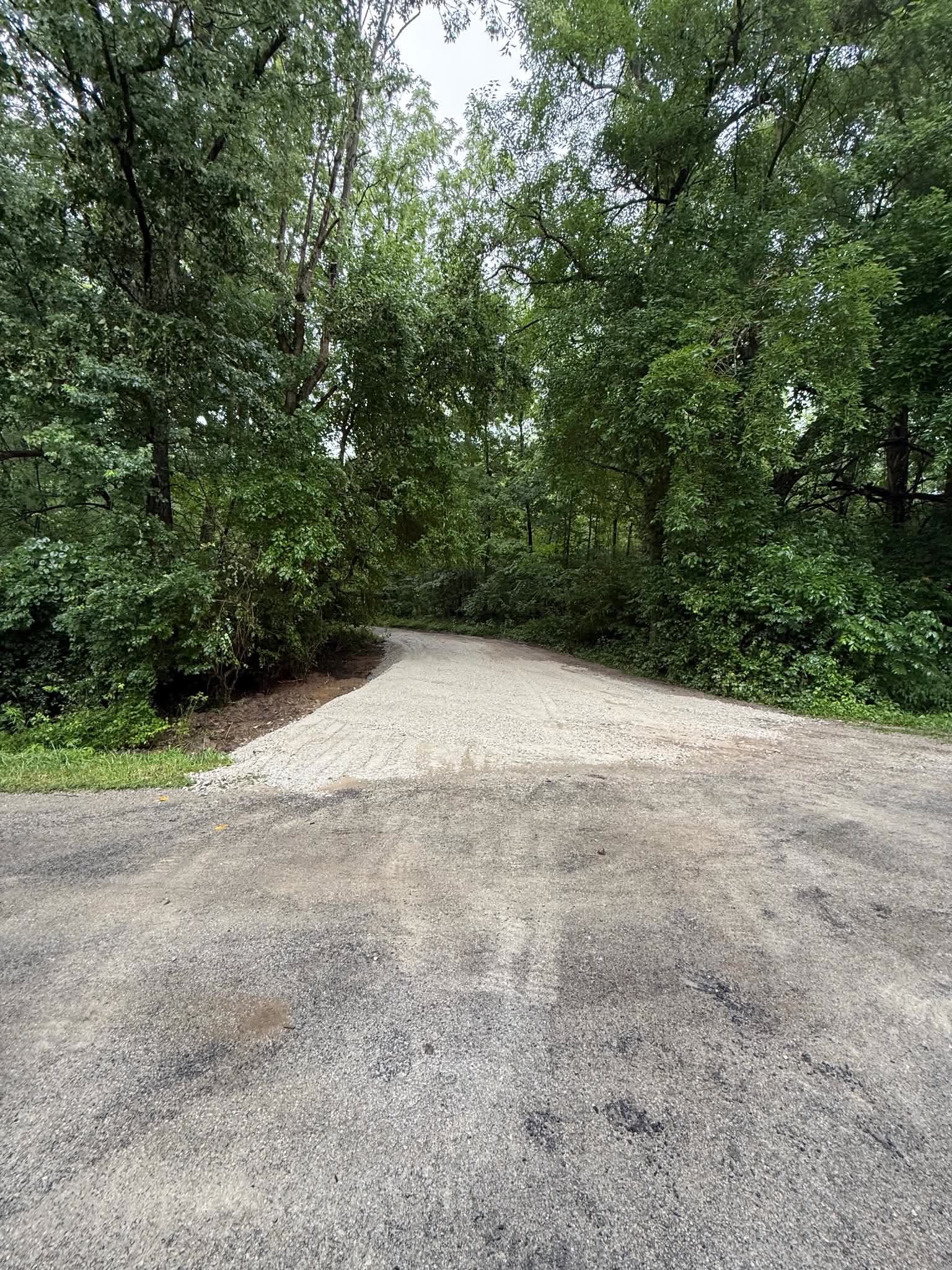 A gravel driveway running up through woods