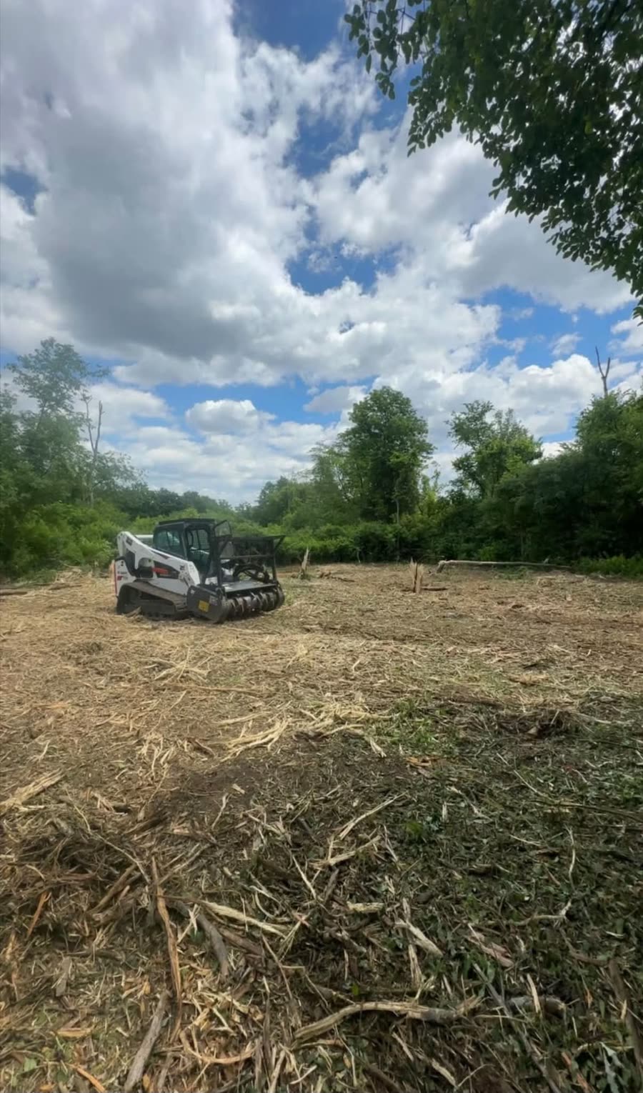 A tracked forestry mulcher clearing brush down to open ground